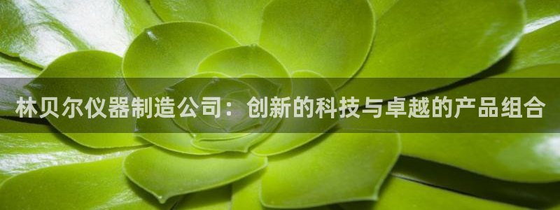 星欧娱乐登录网页版登录：林贝尔仪器制造公司：创新的科技与卓越