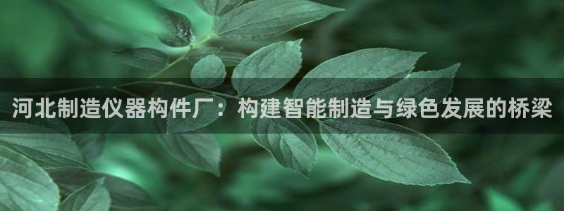 星欧娱乐经7O777：河北制造仪器构件厂：构建智能制造与绿色