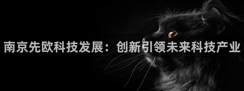 欧星娱乐最新地址：南京先欧科技发展：创新引领未来科技产业