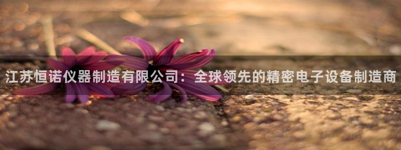 娱乐星天地马思纯欧豪：江苏恒诺仪器制造有限公司：全球领先的精