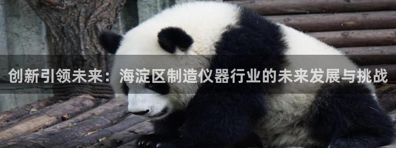 星欧娱乐注册登录入口：创新引领未来：海淀区制造仪器行业的未来