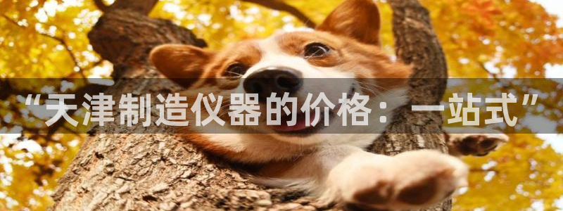 星欧娱乐官网在线登录：“天津制造仪器的价格：一站式”