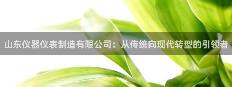 星欧娱乐扣钱是客服电话：山东仪器仪表制造有限公司：从传统向现