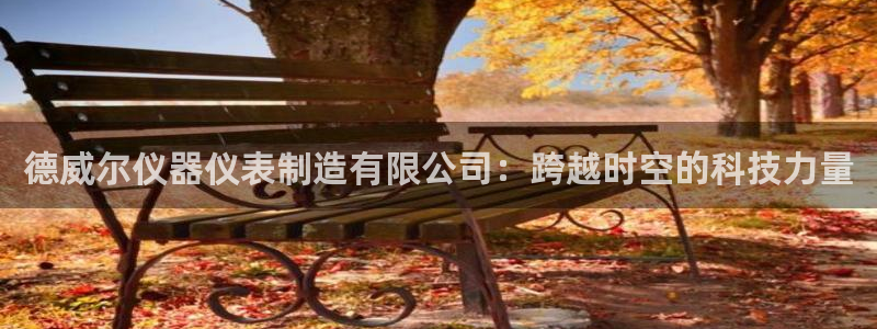 星欧娱乐怎么注册：德威尔仪器仪表制造有限公司：跨越时空的科技