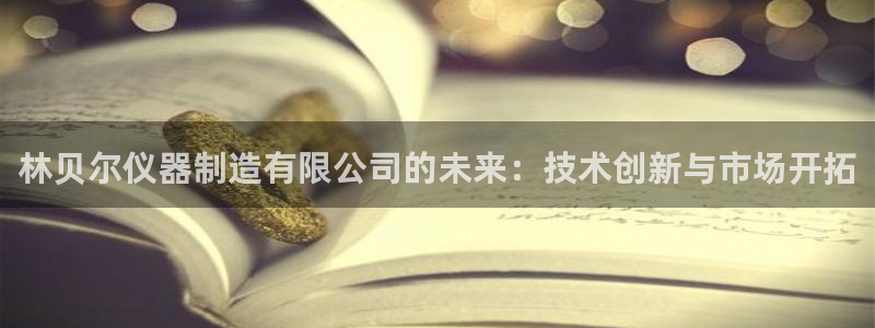 星欧娱乐是正规的吗：林贝尔仪器制造有限公司的未来：技术创新与