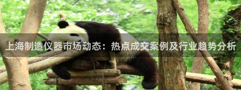 星娱乐online欧弟：上海制造仪器市场动态：热点成交案例及