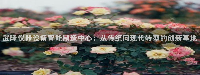 欧星娱乐08：武隆仪器设备智能制造中心：从传统向现代转型的创