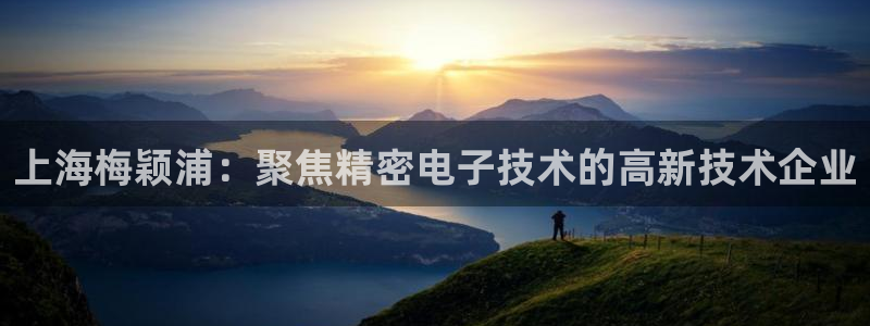 星欧娱乐登录注册：上海梅颖浦：聚焦精密电子技术的高新技术企业