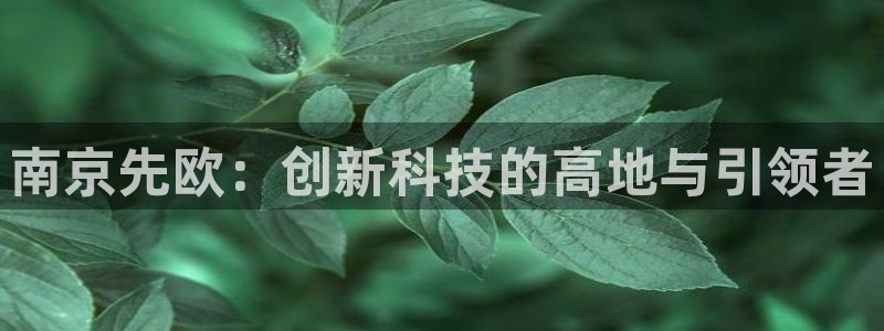 星欧娱乐最新动态消息：南京先欧：创新科技的高地与引领者