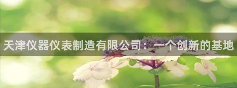 欧星娱乐彩票：天津仪器仪表制造有限公司：一个创新的基地