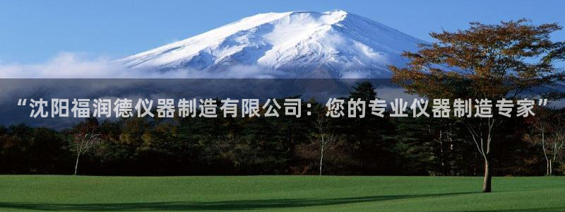 星欧娱乐现在叫什么：“沈阳福润德仪器制造有限公司：您的专业仪