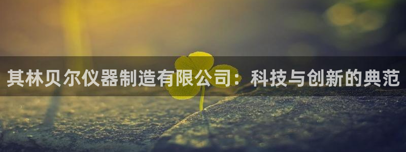 星欧娱乐旗下艺人名单：其林贝尔仪器制造有限公司：科技与创新的