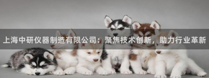 欧星娱乐棋牌官网：上海中研仪器制造有限公司：聚焦技术创新，助