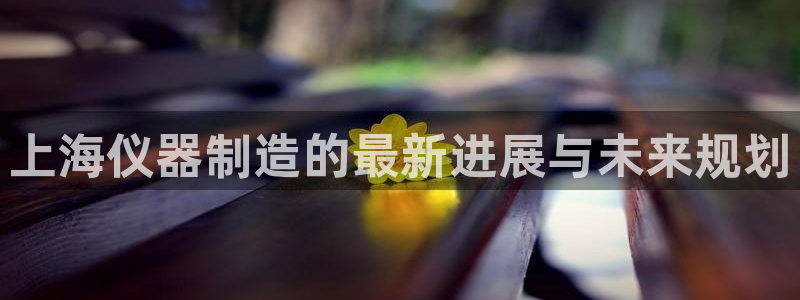 星欧娱乐下载官网：上海仪器制造的最新进展与未来规划