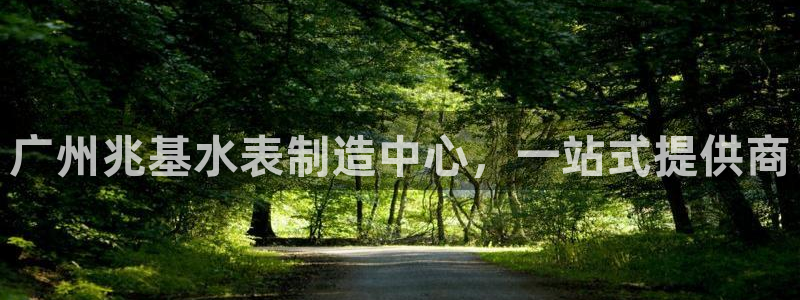 菲律宾亚星国际娱乐欧博：广州兆基水表制造中心，一站式提供商