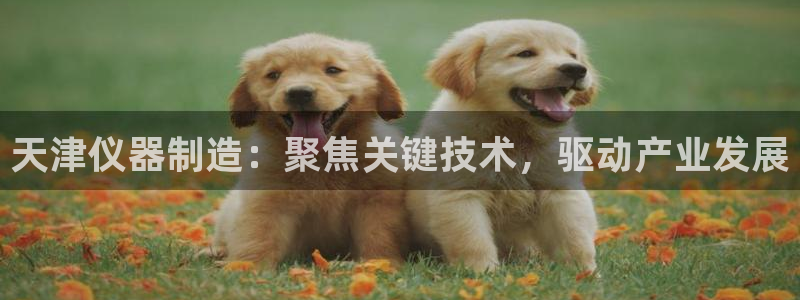 星欧娱乐：天津仪器制造：聚焦关键技术，驱动产业发展