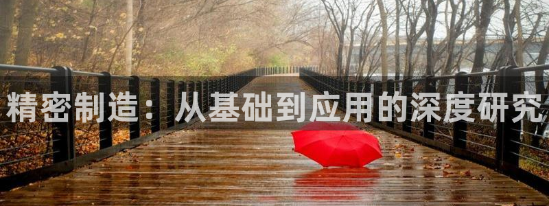 星欧娱乐app下载安装：精密制造：从基础到应用的深度研究