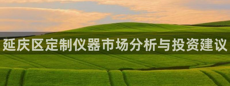 欧星娱乐网址无脑赚：延庆区定制仪器市场分析与投资建议