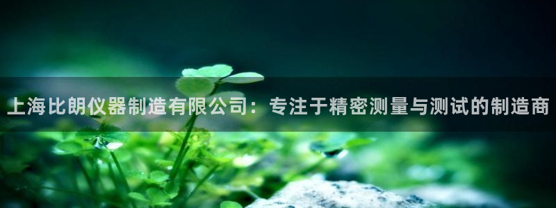 星欧娱乐官网在线登录：上海比朗仪器制造有限公司：专注于精密测