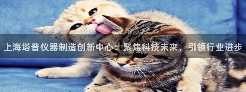 欧乐星城娱乐：上海塔普仪器制造创新中心：聚焦科技未来，引领行