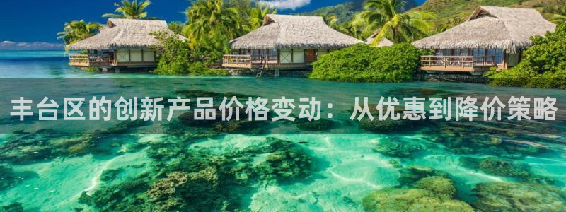 星欧娱乐扣费详情详解：丰台区的创新产品价格变动：从优惠到降价