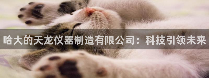 星欧娱乐元7O777：哈大的天龙仪器制造有限公司：科技引领未