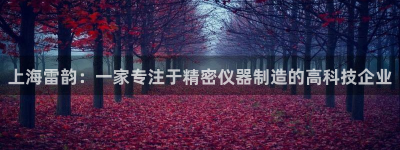 欧亿2娱乐诗星22650j：上海雷韵：一家专注于精密仪器制造