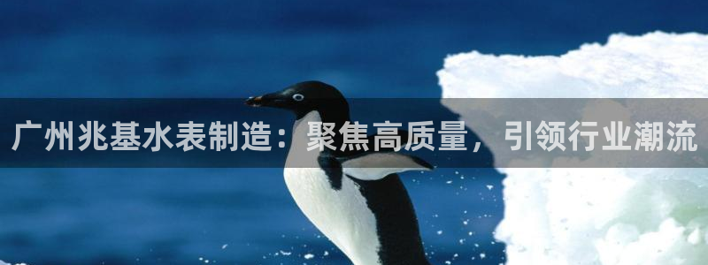 星辉娱乐进入欧连杯：广州兆基水表制造：聚焦高质量，引领行业潮