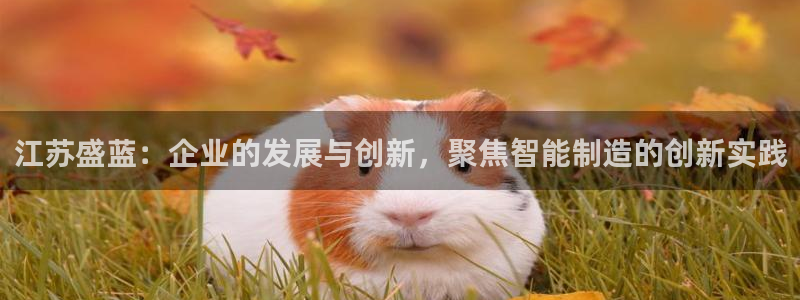 星欧娱乐是什么：江苏盛蓝：企业的发展与创新，聚焦智能制造的创