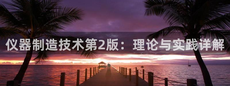 星欧娱乐公司：仪器制造技术第2版：理论与实践详解