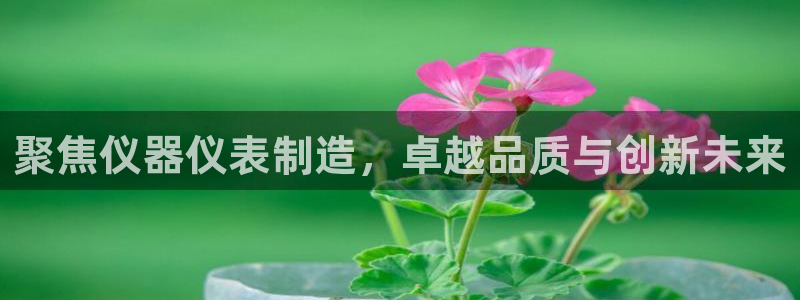 星欧娱乐平台下载：聚焦仪器仪表制造，卓越品质与创新未来