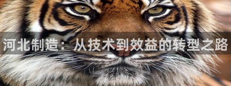 星欧娱乐平台电话：河北制造：从技术到效益的转型之路