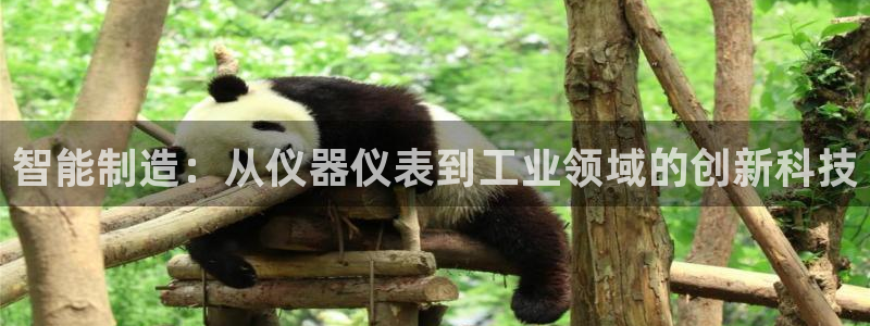 星欧娱乐最近怎么了：智能制造：从仪器仪表到工业领域的创新科技