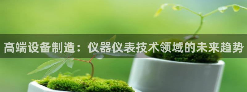 星欧娱乐扣款流程详解：高端设备制造：仪器仪表技术领域的未来趋