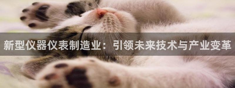 欧汇星娱乐：新型仪器仪表制造业：引领未来技术与产业变革