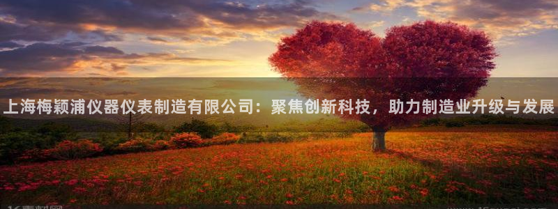 星欧娱乐app下载安装：上海梅颖浦仪器仪表制造有限公司：聚焦