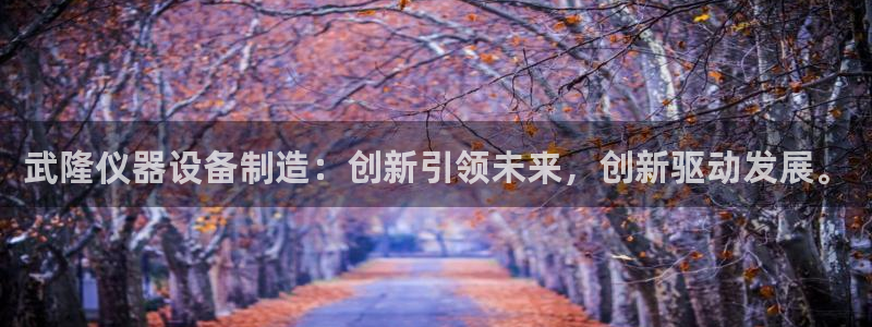 星欧娱乐客服电话：武隆仪器设备制造：创新引领未来，创新驱动发