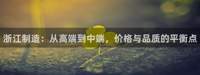 武汉欧汇星娱乐有限公司：浙江制造：从高端到中端，价格与品质的
