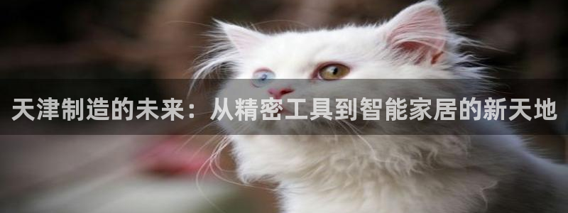 欧星娱乐pt：天津制造的未来：从精密工具到智能家居的新天地