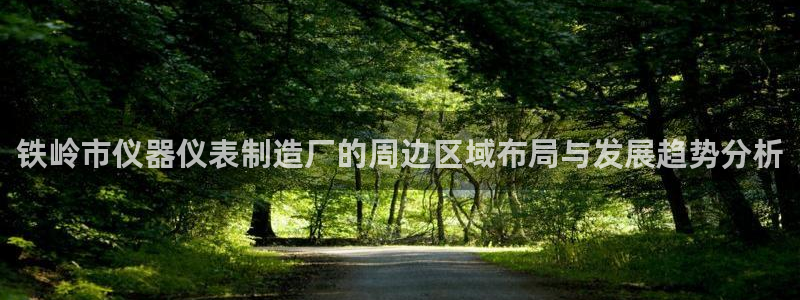 欧星娱乐网址：铁岭市仪器仪表制造厂的周边区域布局与发展趋势分