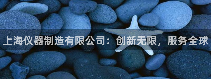 星欧娱乐最新消息今天：上海仪器制造有限公司：创新无限，服务全