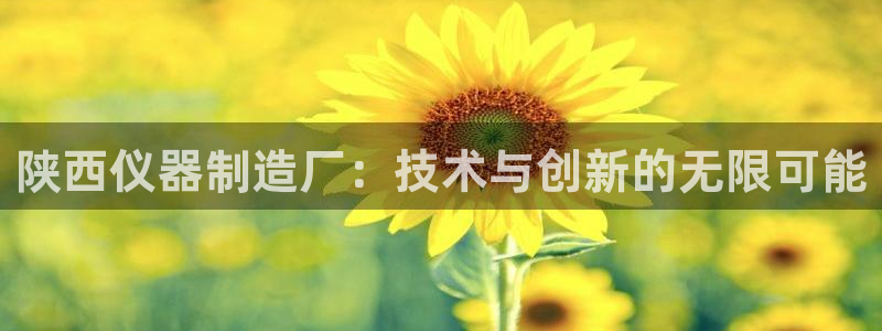 星欧娱乐黑科技是正规的吗：陕西仪器制造厂：技术与创新的无限可