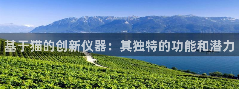 欧乐星城娱乐视频：基于猫的创新仪器：其独特的功能和潜力