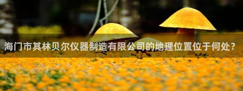 星欧娱乐注册40046：海门市其林贝尔仪器制造有限公司的地理