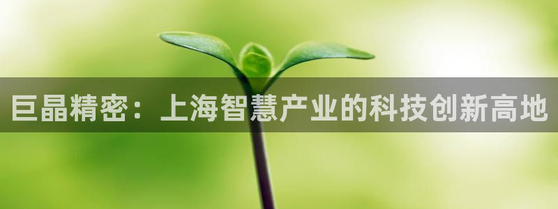 星欧娱乐现在叫什么：巨晶精密：上海智慧产业的科技创新高地