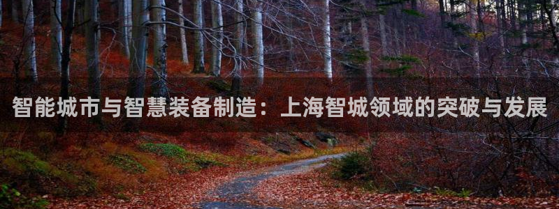 星欧娱乐黑科技是正规的吗：智能城市与智慧装备制造：上海智城领