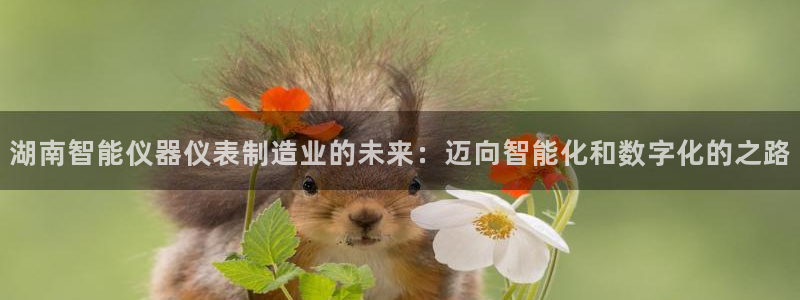 星欧娱乐注册官网入口：湖南智能仪器仪表制造业的未来：迈向智能