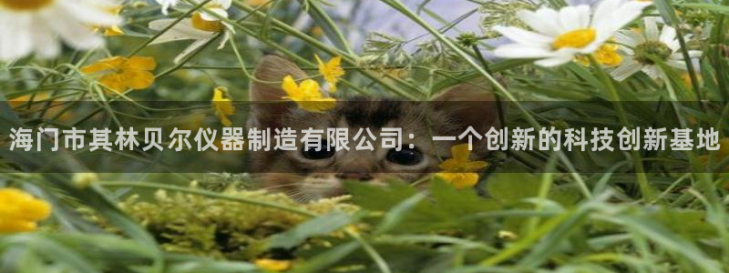 星欧娱乐注册章7O777：海门市其林贝尔仪器制造有限公司：一