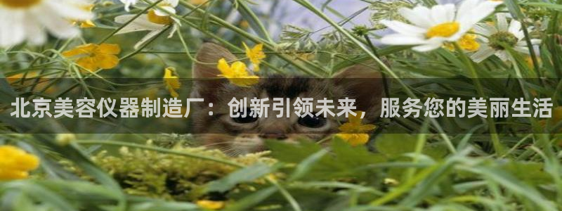 星欧娱乐咋7O777：北京美容仪器制造厂：创新引领未来，服务