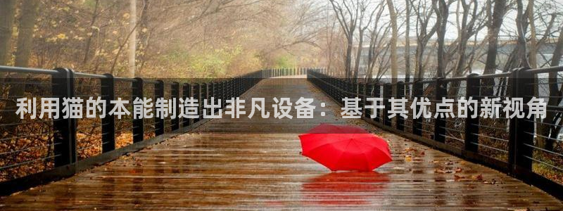 星欧娱乐负责人：利用猫的本能制造出非凡设备：基于其优点的新视